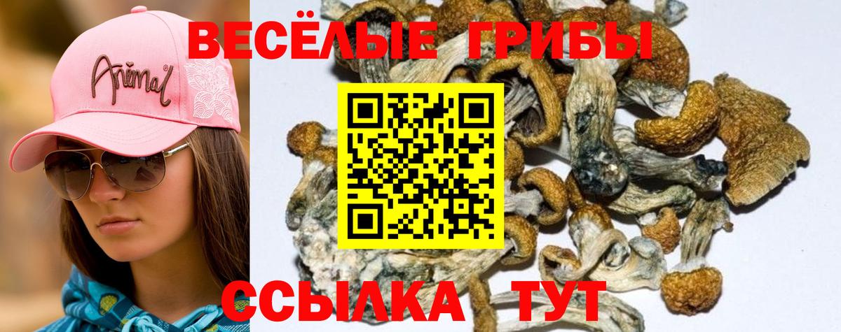 Псилоцибиновые грибы ЛСД  Вход с VPN  Краснознаменск 