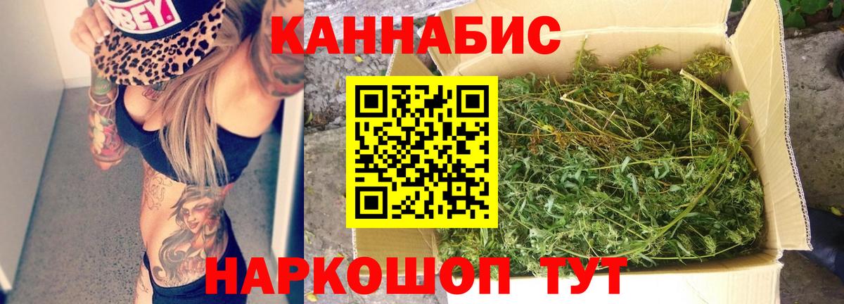 Канабис сатива Краснознаменск